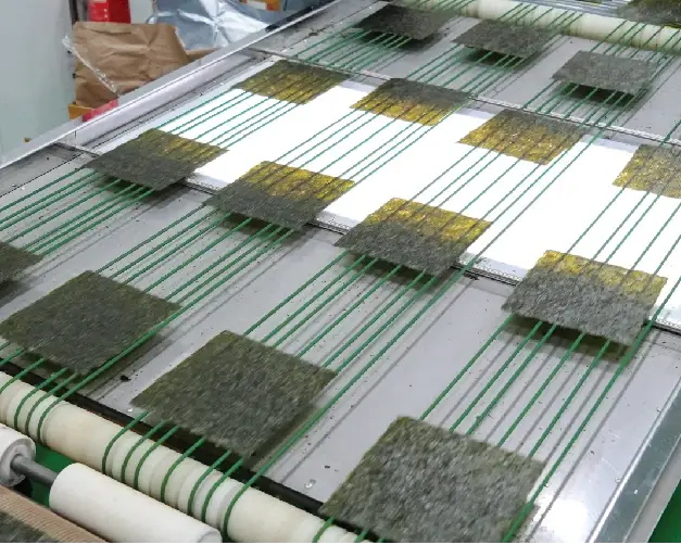 Seaweed sheets on the production line
